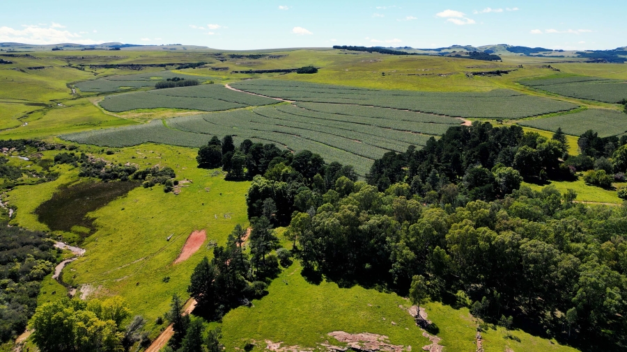 0 Bedroom Property for Sale in Maclear Rural Eastern Cape